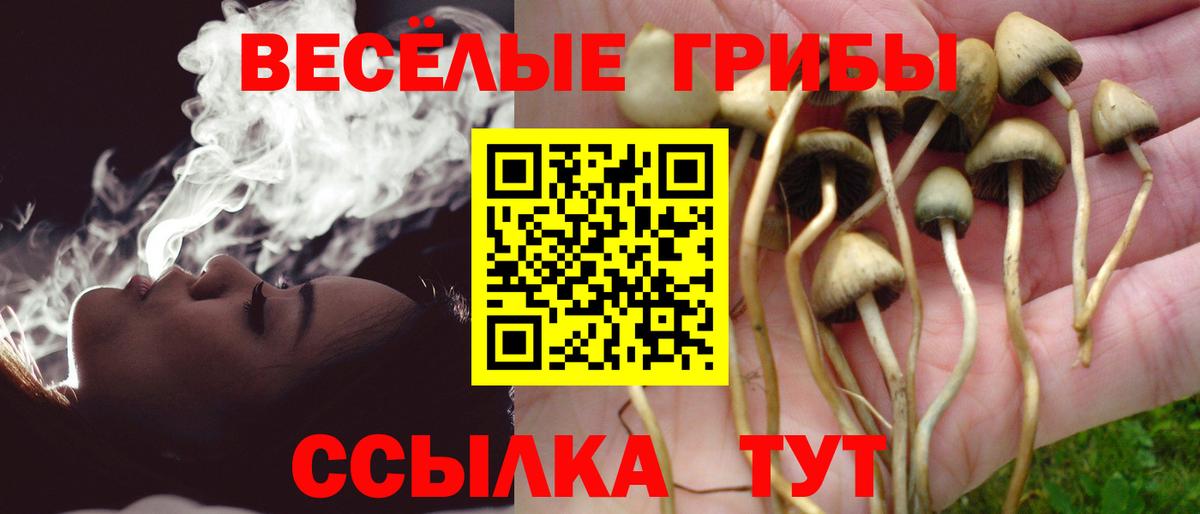 Галлюциногенные грибы Psilocybine cubensis Белогорск